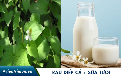 mặt nạ rau diếp cá sữa tươi